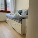 Apartman Jayjastur *